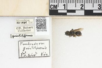 Media type: image;   Entomology 773793 Aspect: Labels